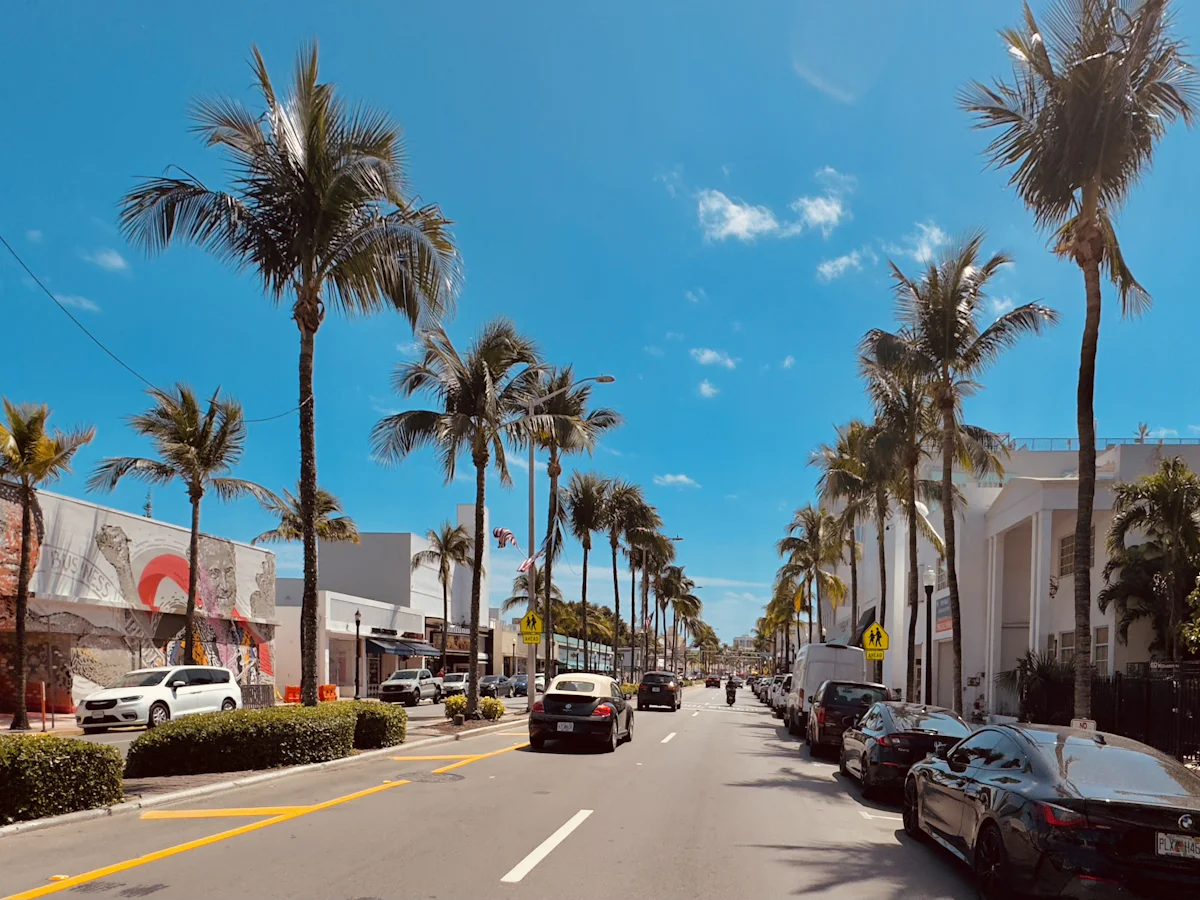 A street lined with palm trees
